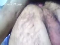 [ Zoo XXX ] Hairy guy receives humped by furry beast